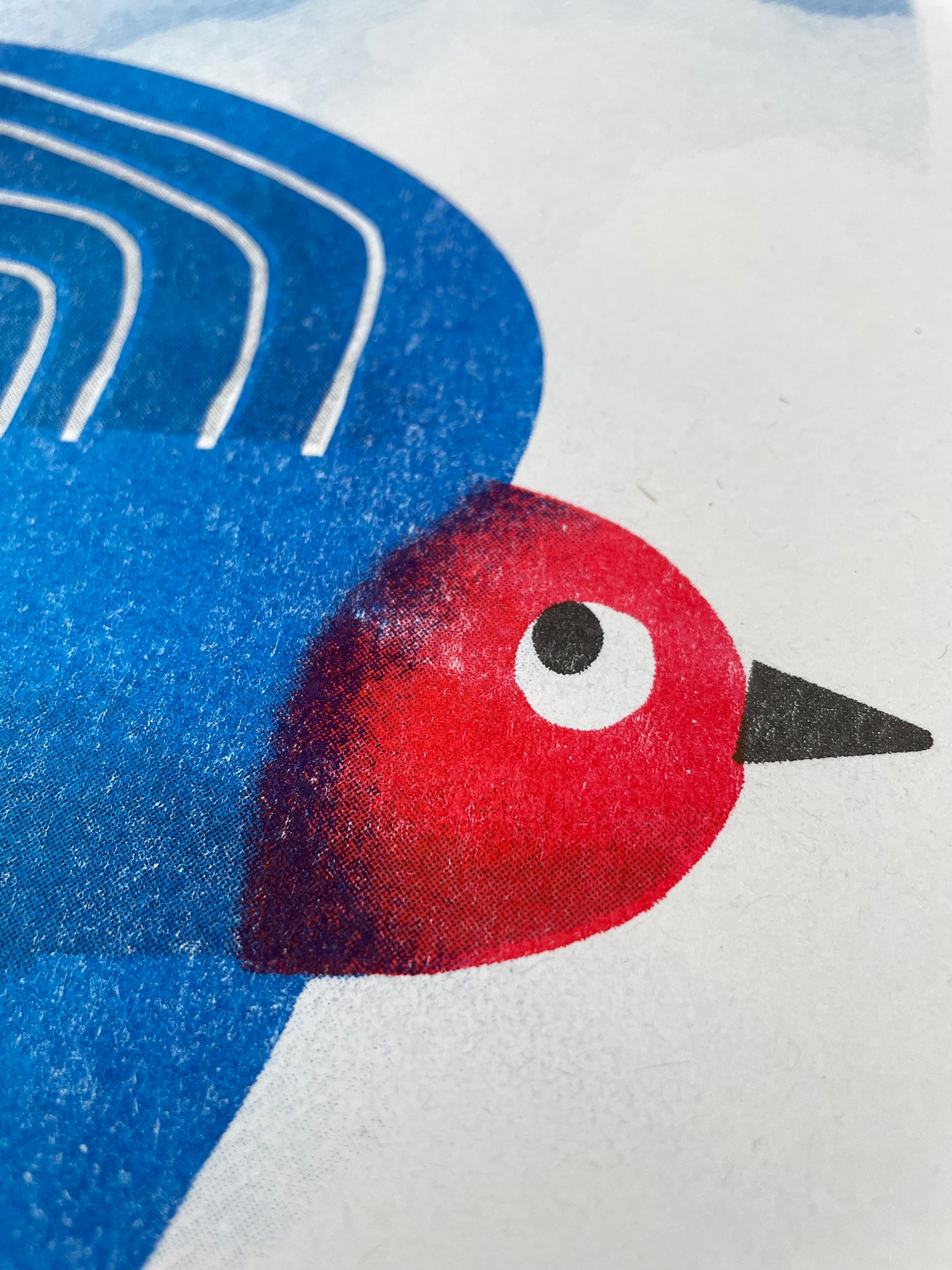 ‘Swallows’ A3 Risograph Print