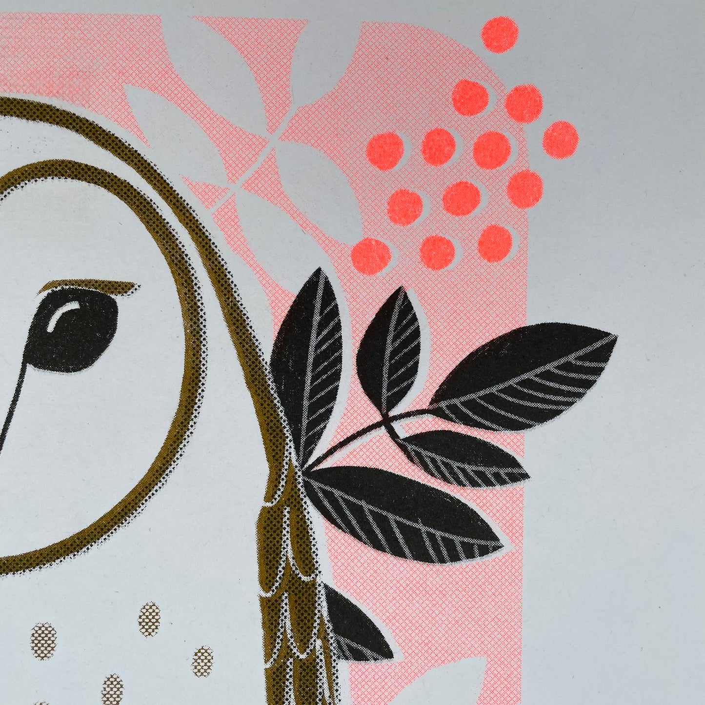‘Edith Owl’s’ A3 Risograph Print