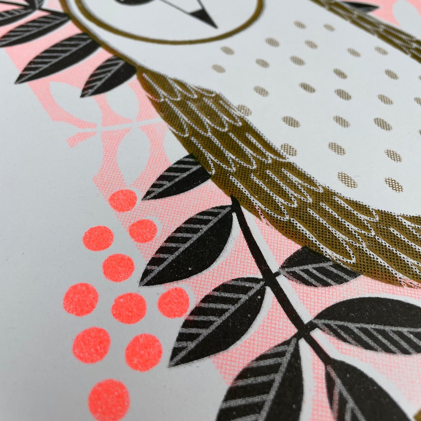 ‘Edith Owl’s’ A3 Risograph Print