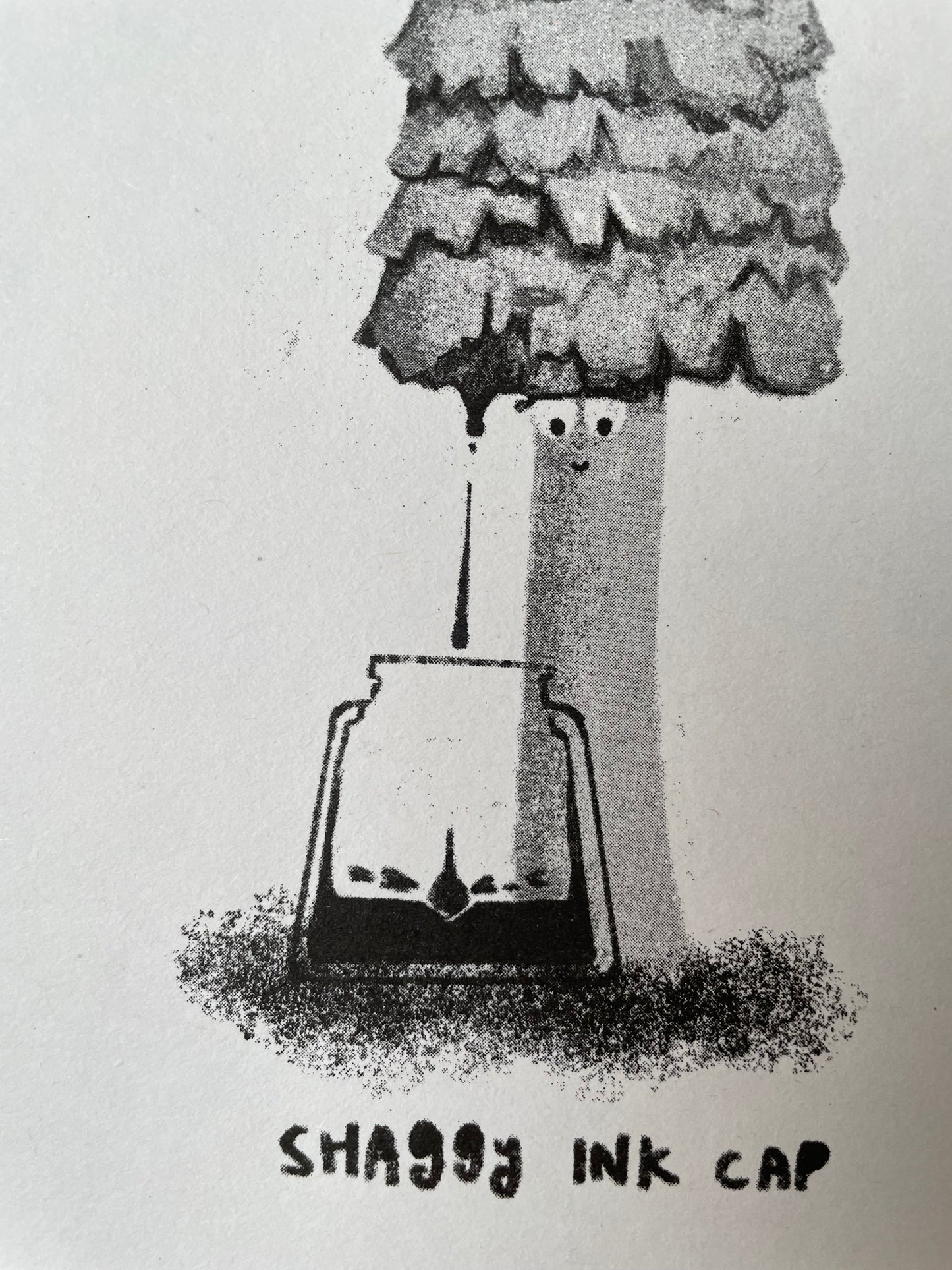 ‘Shaggy Inkcap’ A5 Risograph Print