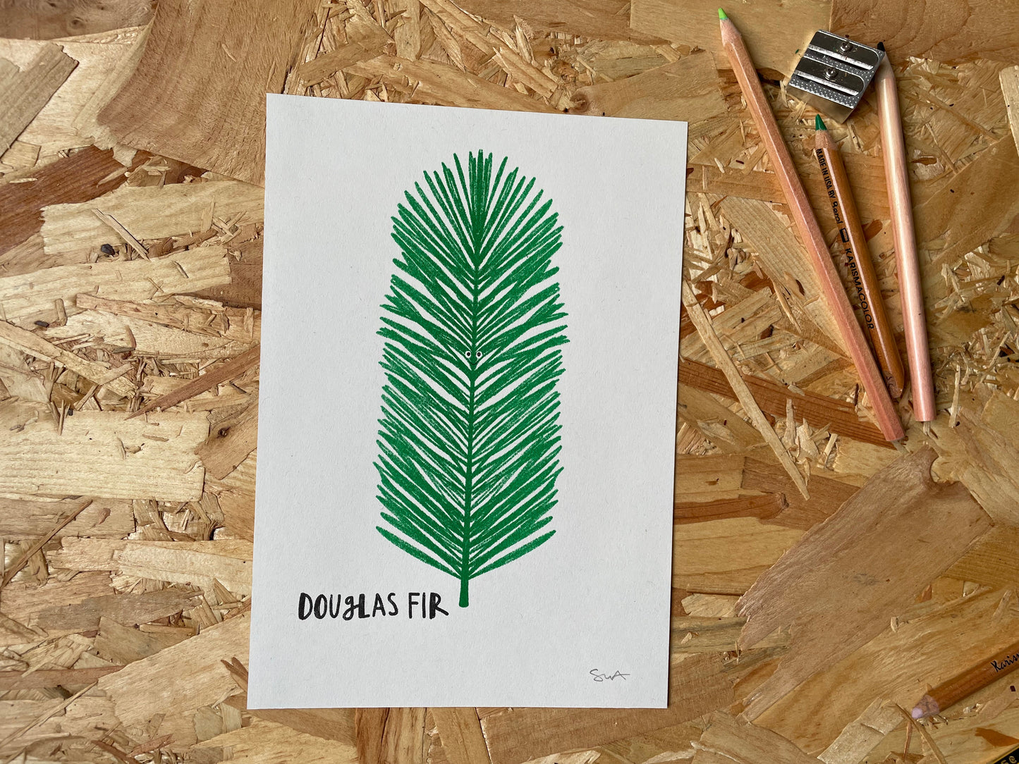 'Douglas Fir' A5 Risograph Print
