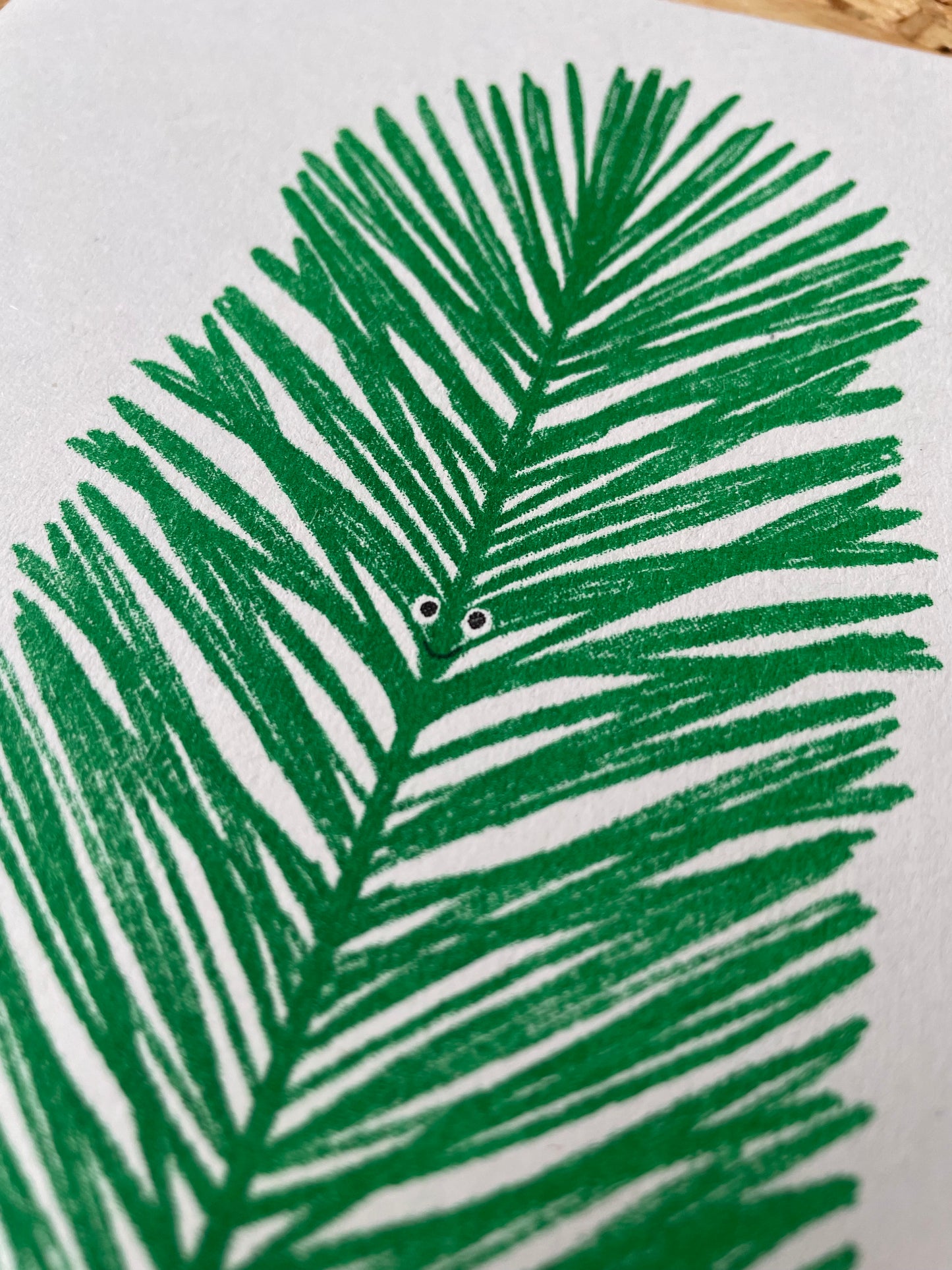 'Douglas Fir' A5 Risograph Print