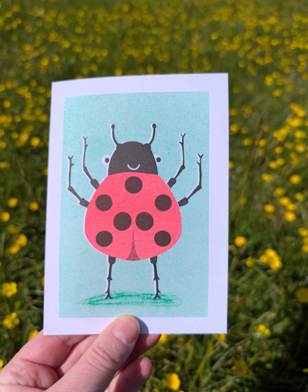 Ladybird Beetle Greetings Card