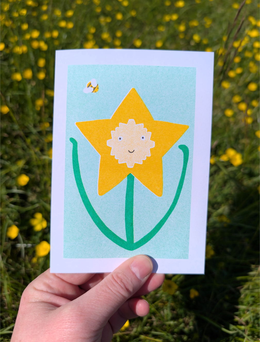 Daffodil Greetings Card
