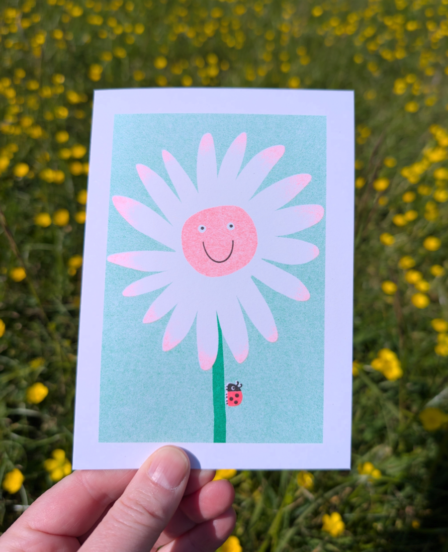 Daisy Greetings Card