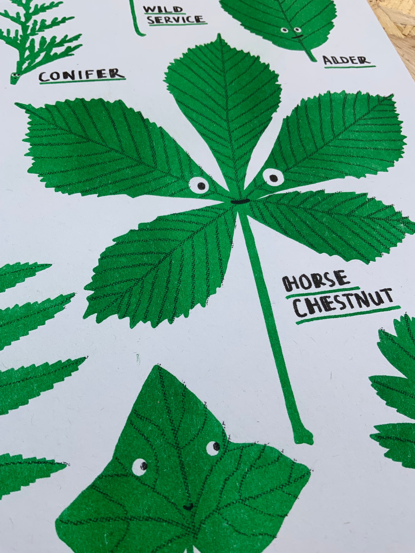 ‘Leafy II’ A3 Risograph Print